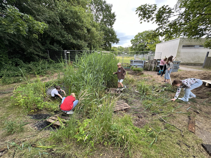 Die grüne Oase an der Elsa