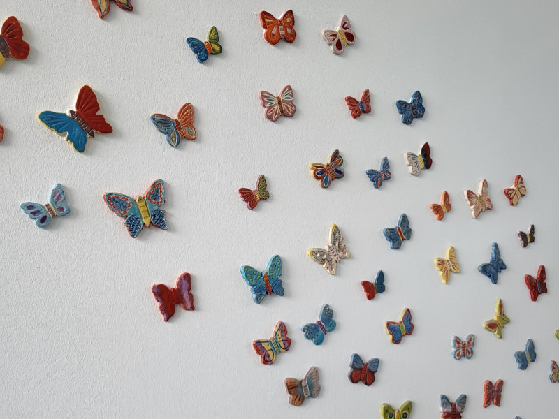 Diesjähriges Butterfly-Project!