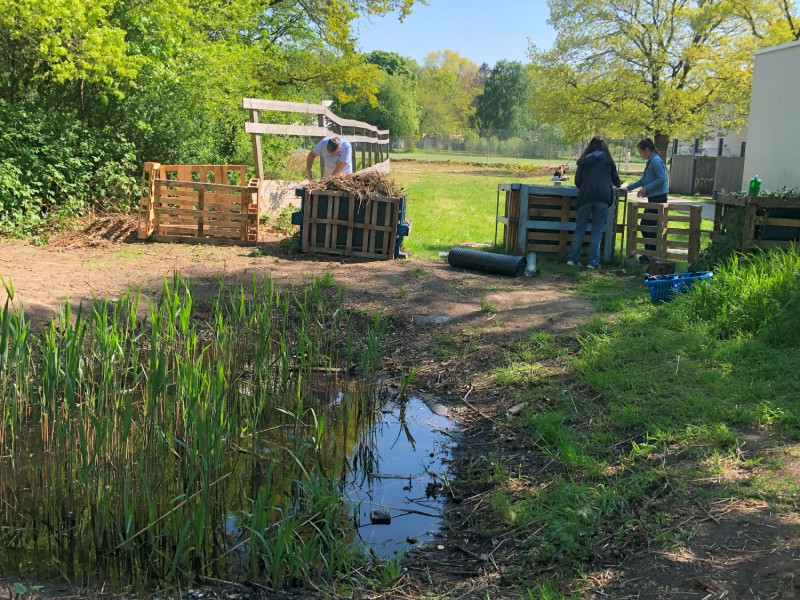 Idylle und Artenvielfalt auf unserem Schulhof