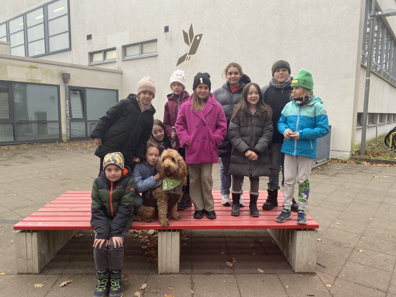 Unser tierischer Begleiter Balou